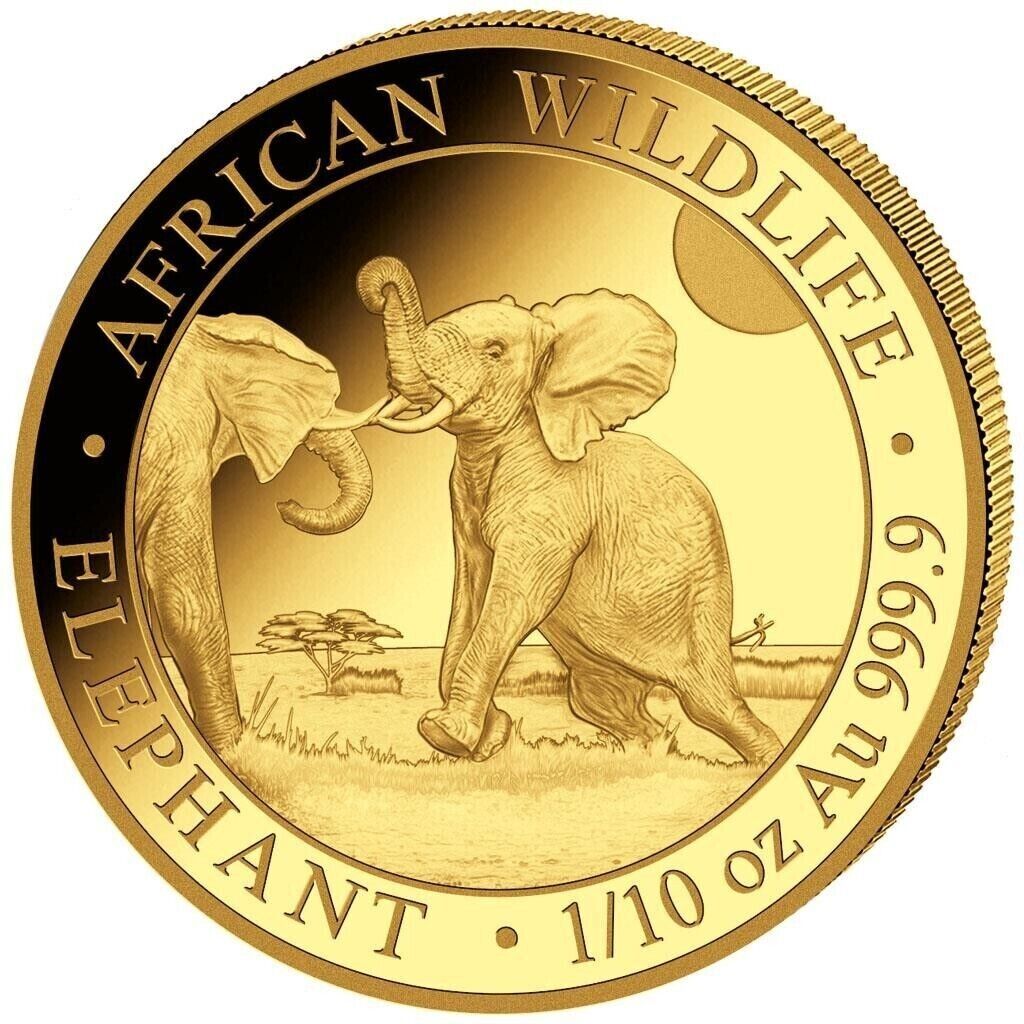 Somalia Elefant, 1/10 oz Goldmünze 2024**