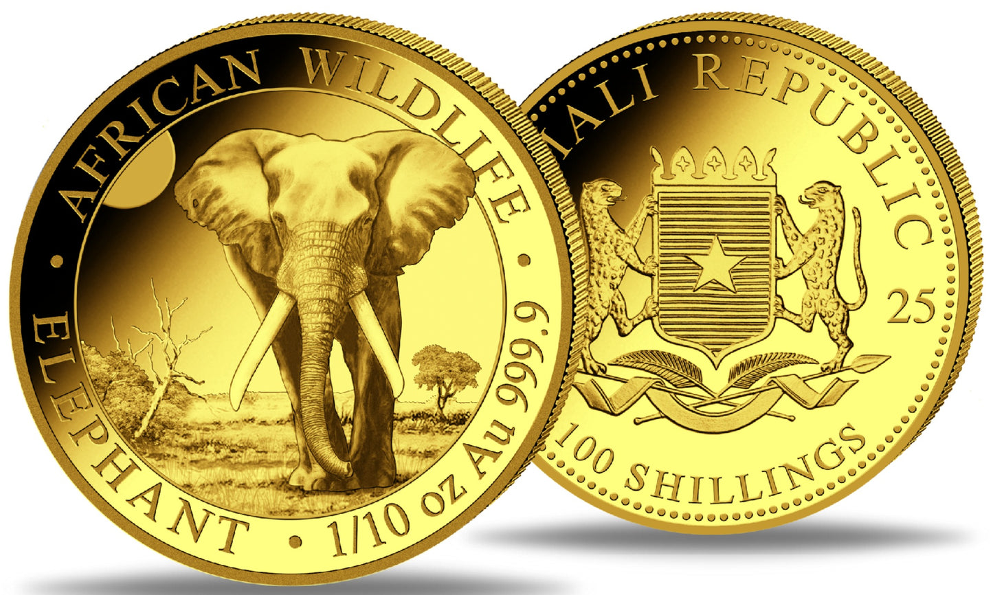 Somalia Elefant, 1/10 oz Goldmünze 2025**
