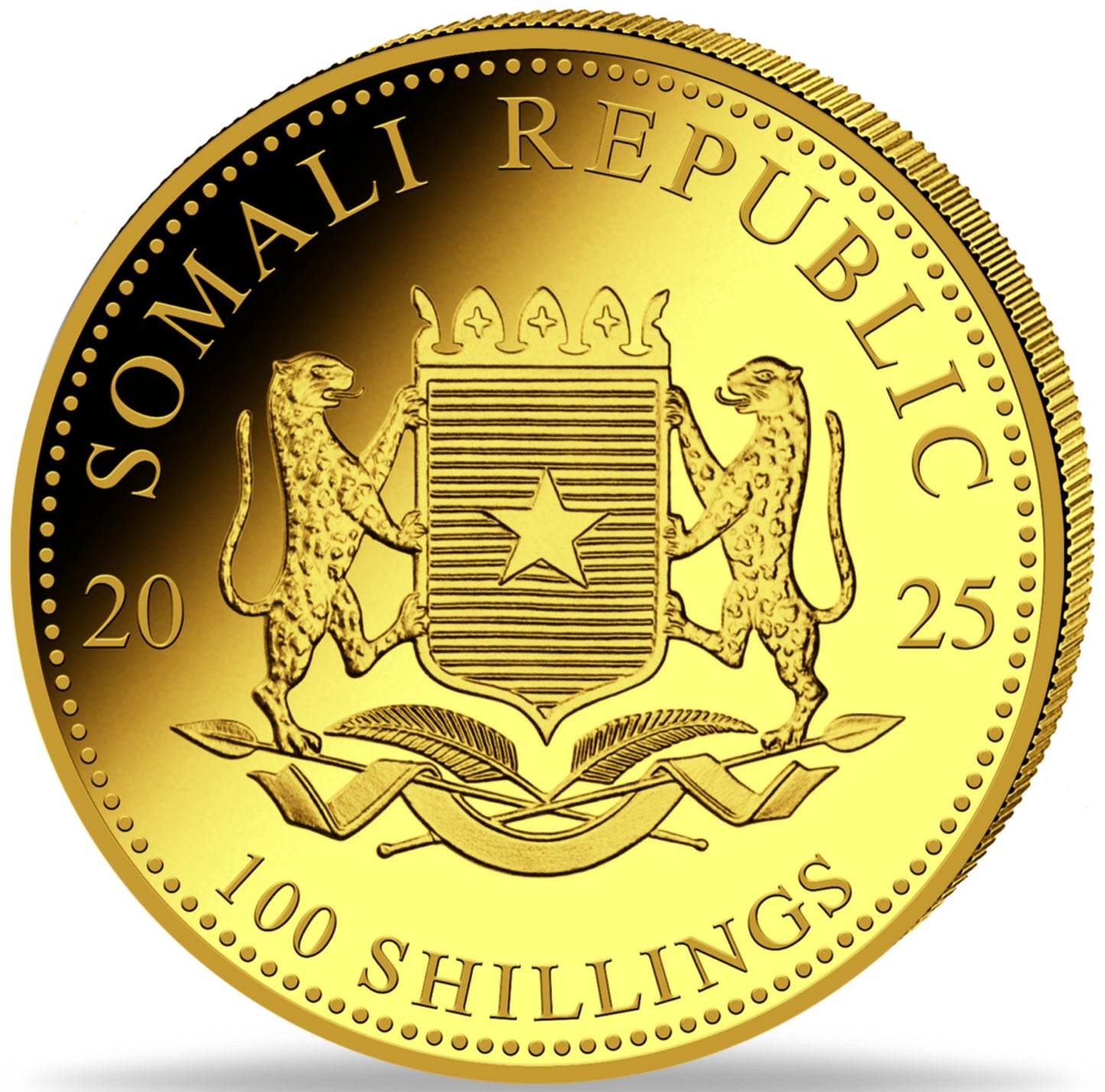 Somalia Elefant, 1/10 oz Goldmünze 2025**