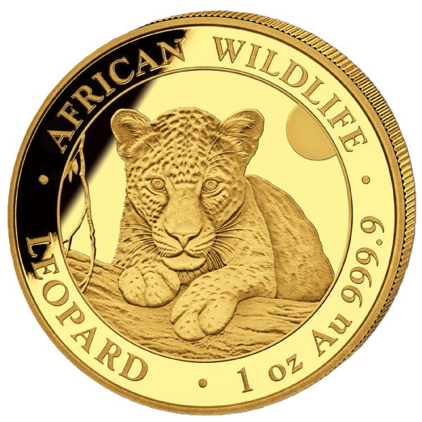 Somalia Leopard - 2025 - 1 oz Goldmünze