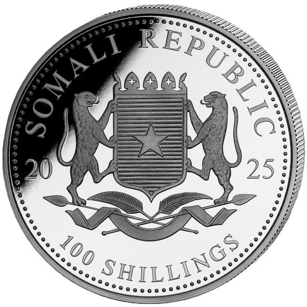 Somalia Leopard - 2025 - African Wildlife - 1 oz Silbermünze BU