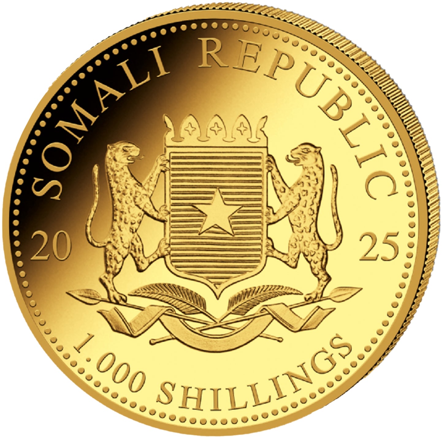 Somalia Leopard - 2025 - 1 oz Goldmünze