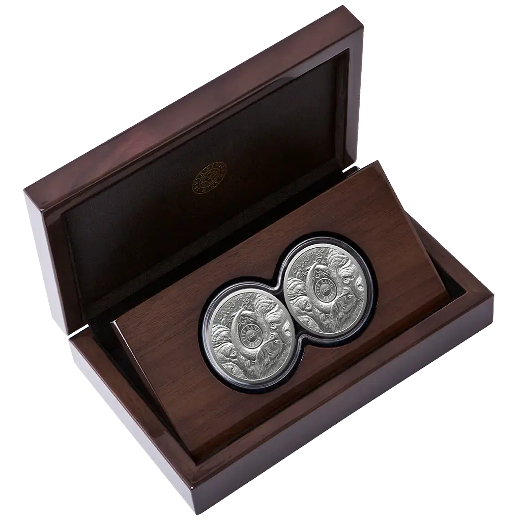 Big Five III (5.) Büffel 2026 Set - 2 x 1 oz Silbermünze in Doppel-Kapsel PP