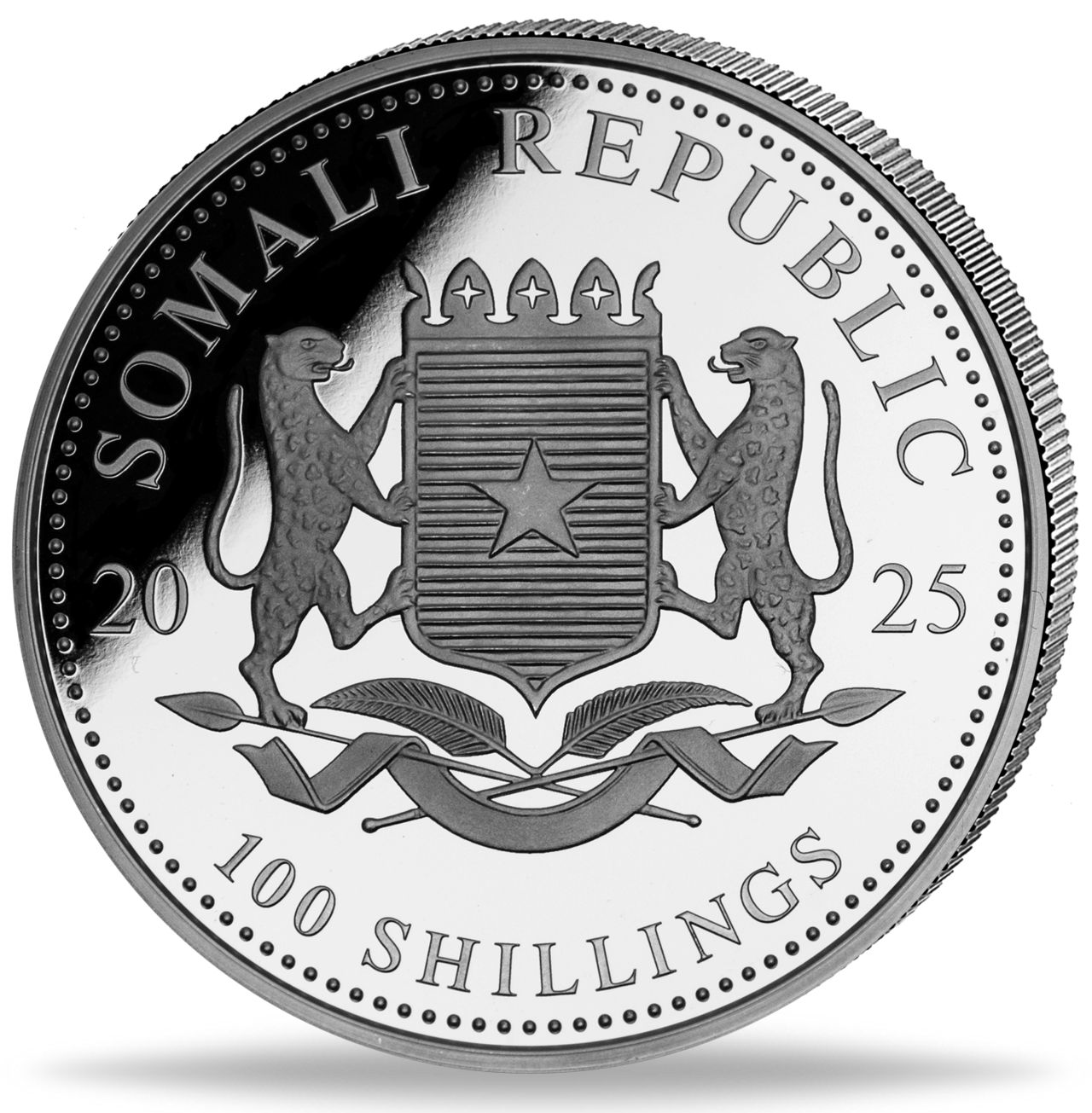 Somalia Elefant, 1 Oz Silbermünze 2025 Schneekugel Weihnachten