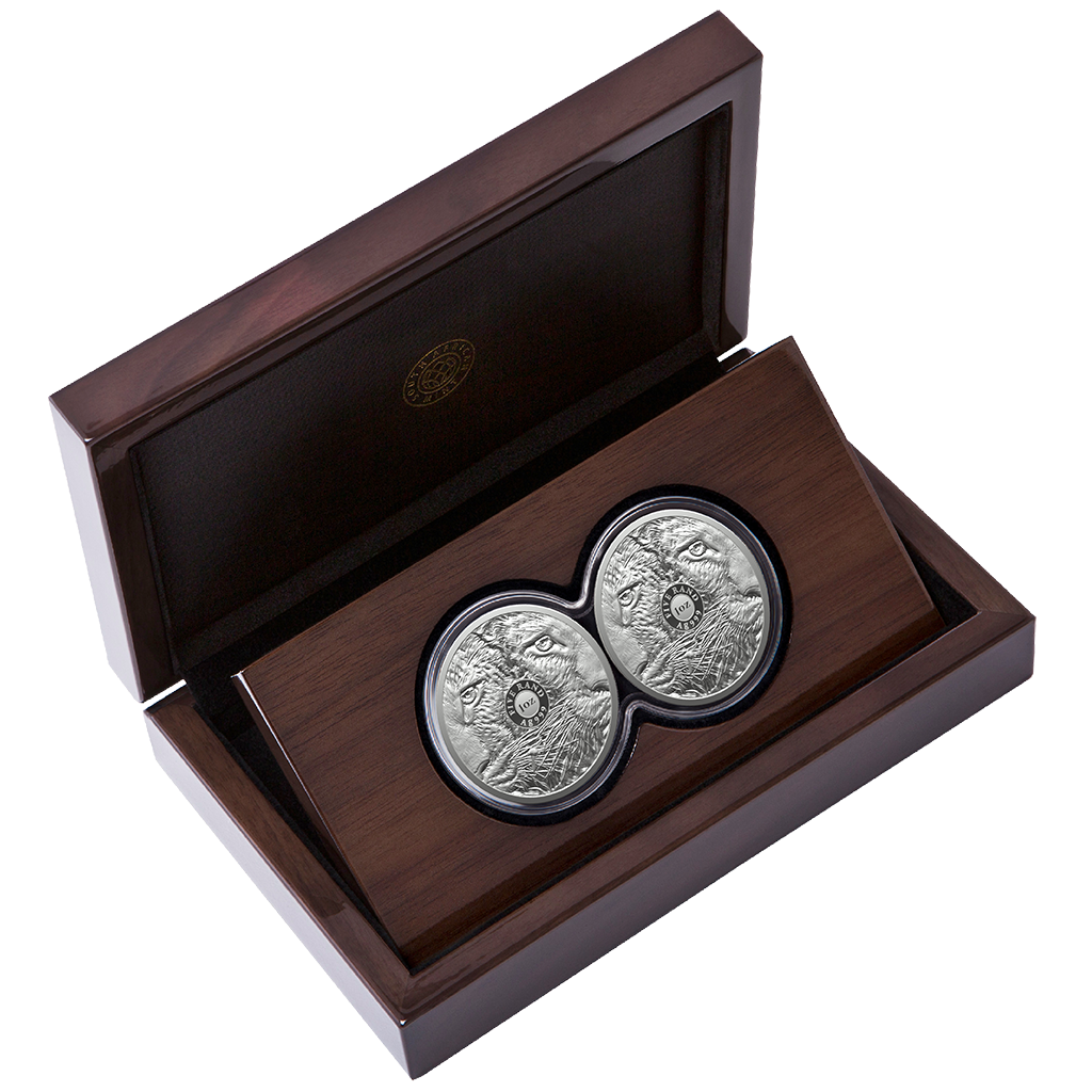 Big Five III (4.) Leopard 2026 Set - 2 x 1 oz Silbermünze in Doppel-Kapsel PP