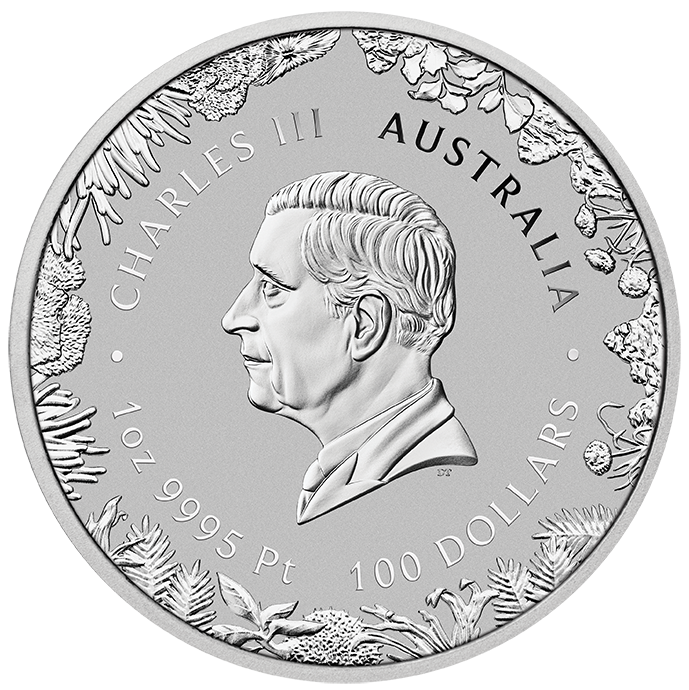 Wonders of Australia - The Outback 2026 - 1 oz Platinmünze