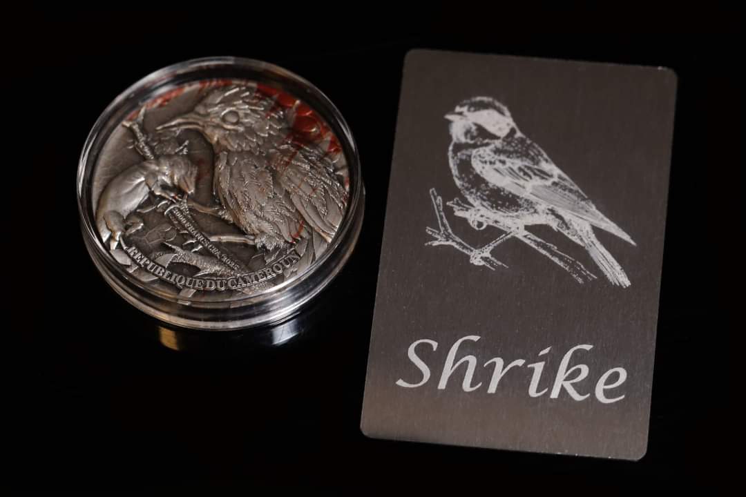 Cameroon Shrike - Lord of Pain 2025 HR Antik Color 2oz