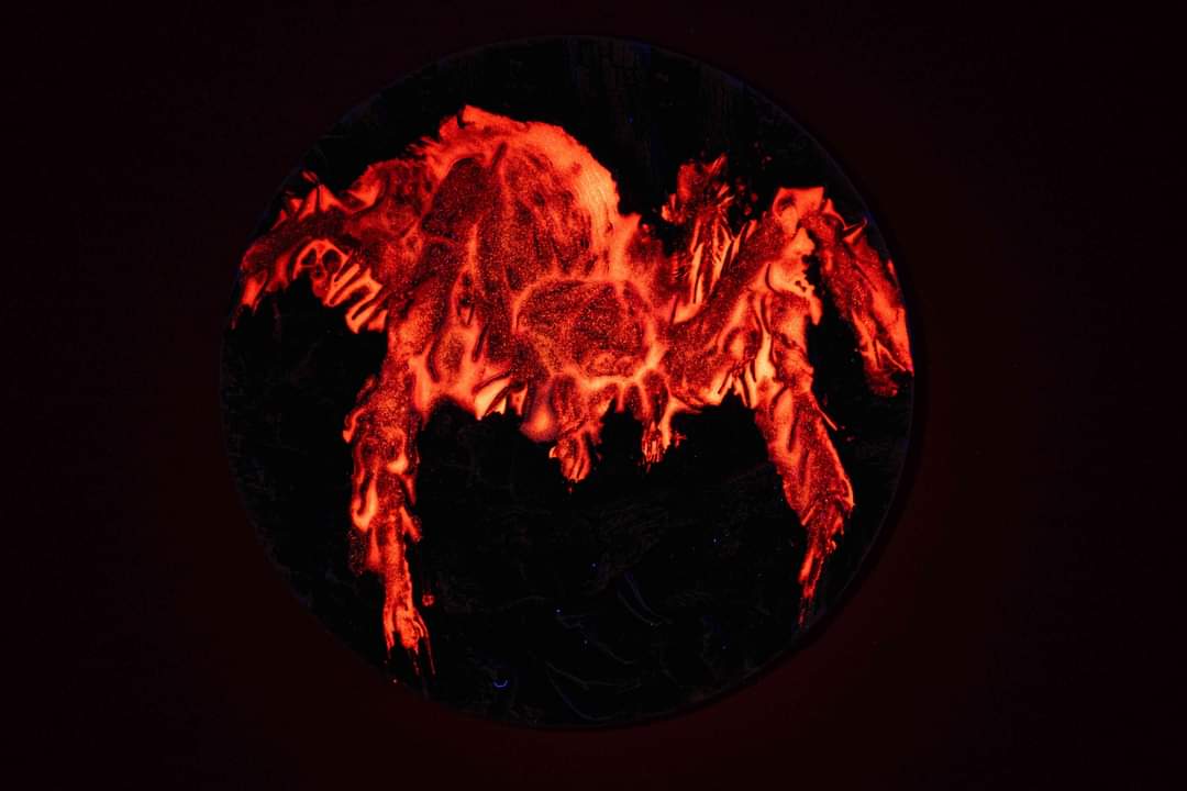 Cameroon Tarantula 2025 HR Antik Color Glow in the Dark 2oz