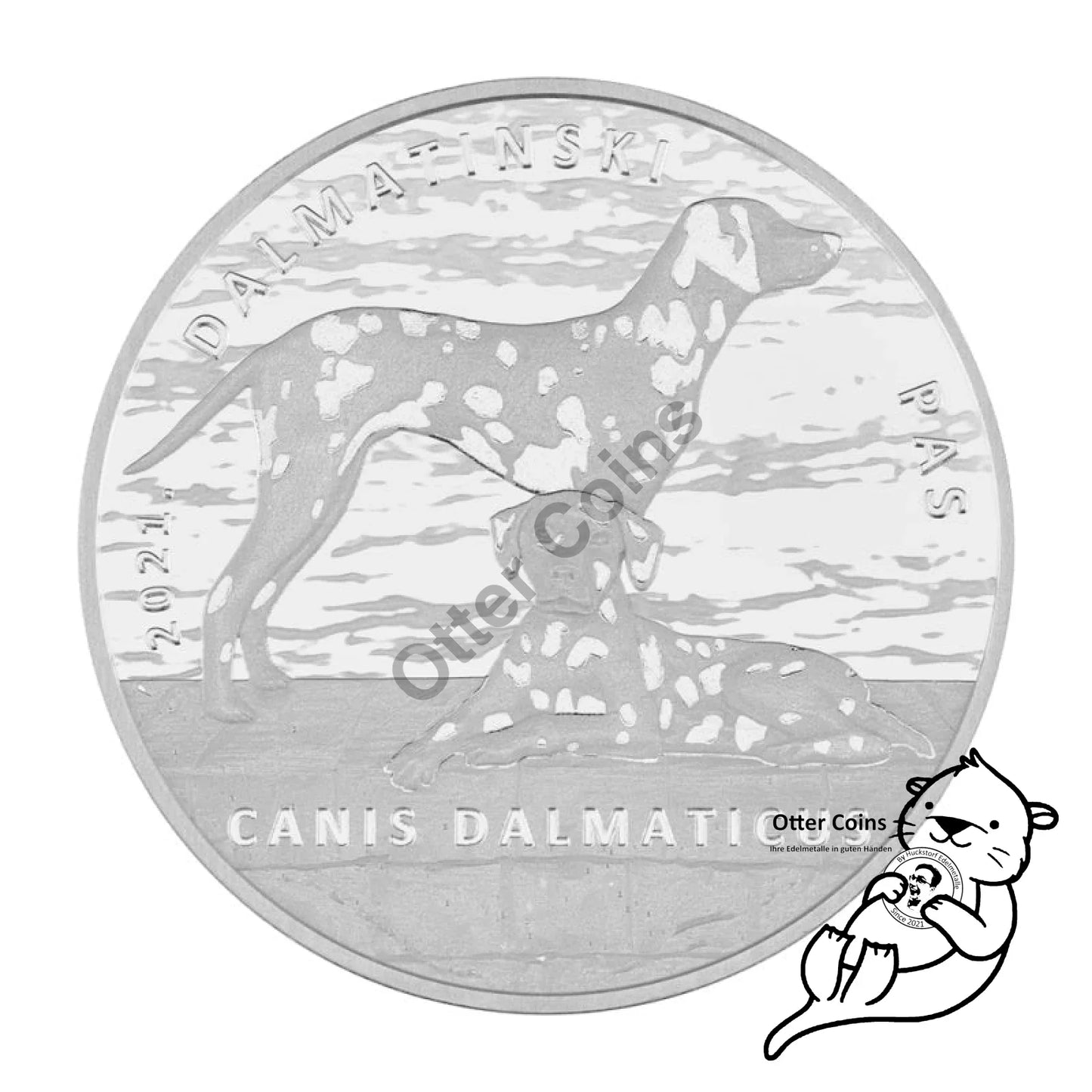 Dalmatiner Dog Authochthonous Crotias Silbermünze Kroatien