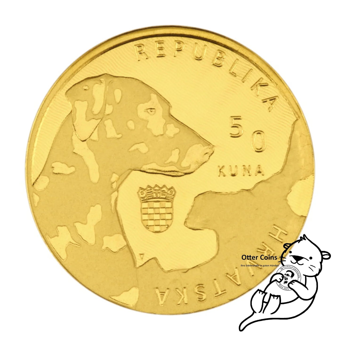 Dalmatiner Dog Authochthonous Crotias Goldmünze Kroatien
