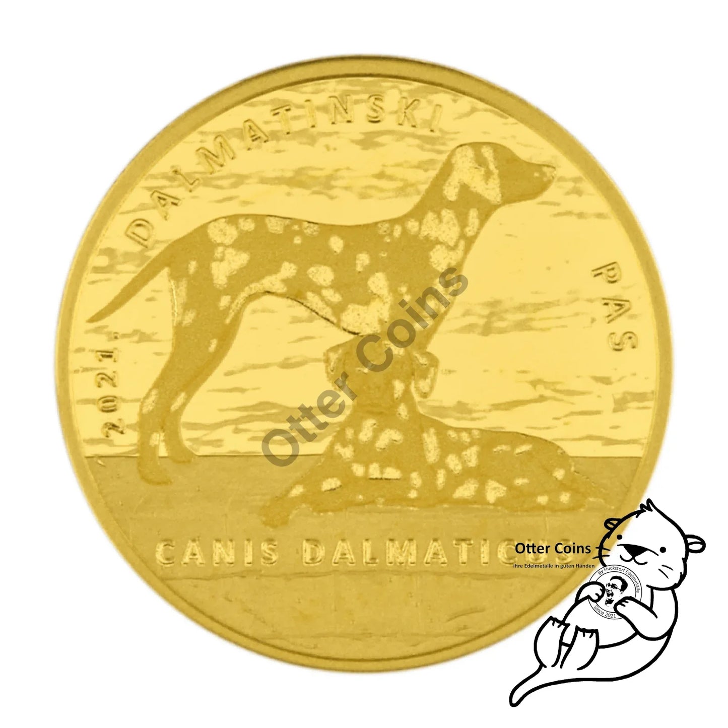Dalmatiner Dog Authochthonous Crotias Goldmünze Kroatien