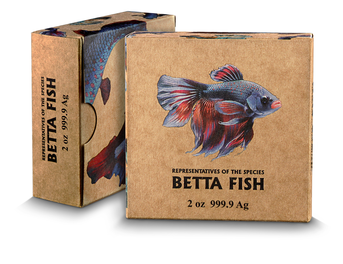 BETTA FISH - #2. - Representatives of the Specie - Germania Mint 1 oz Silbermünze Ruthenium High Relief