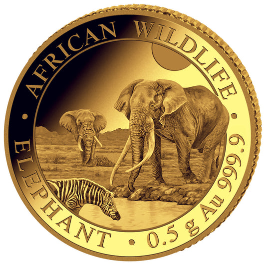 Somalia Elefant 2026 - 0,5 Gramm Goldmünze PP Polierte Platte**