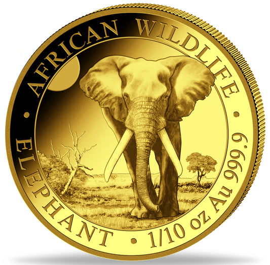 Somalia Elefant, 1/10 oz Goldmünze 2025**