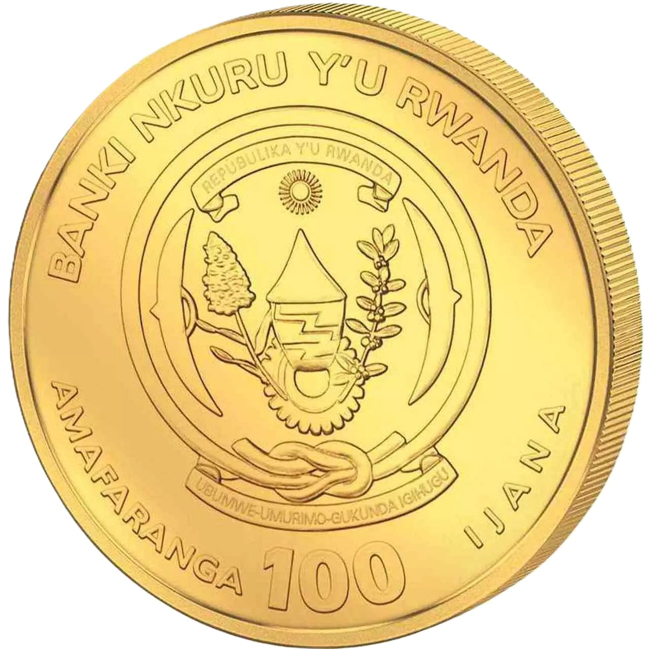Ruanda African Ounce - Tüpfelhyäne -  2026 1/12 oz Goldmünze BU**