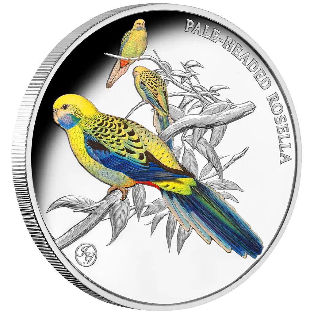 Niue Blasskopfsittich 2026 Farbe - 1 oz Polierte Platte - Privy Mark - Silbermünze***