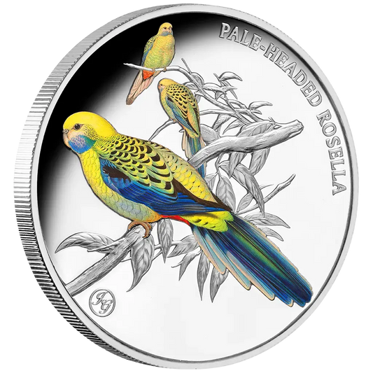 Niue Blasskopfsittich 2026 Farbe - 1 oz Polierte Platte - Privy Mark - Silbermünze***