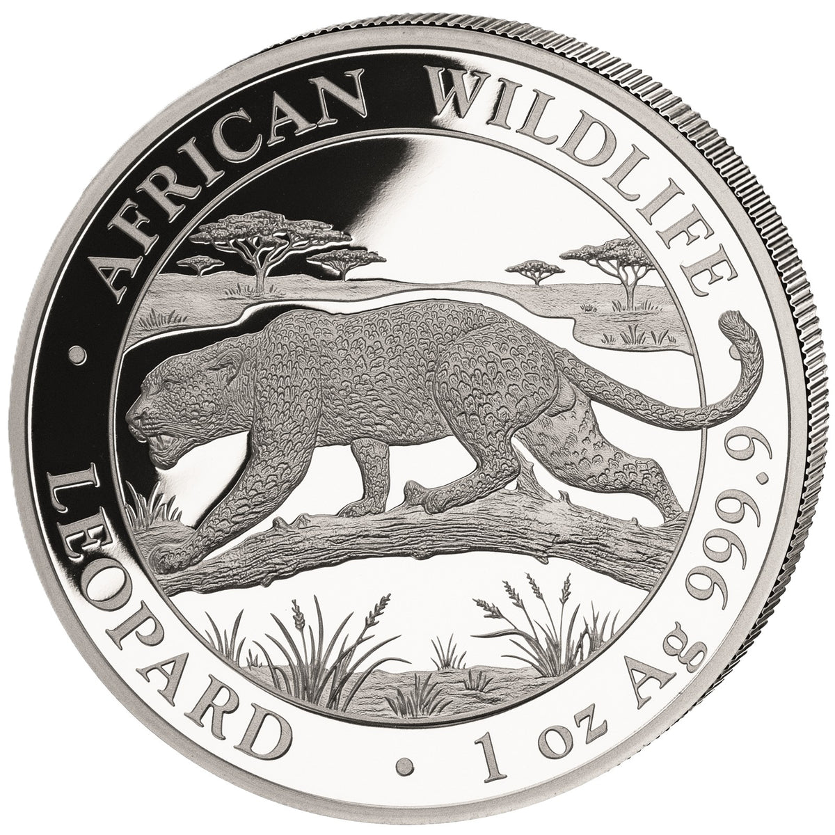 African Wildlife - Somalia Leopard - 2026 - 1 oz Silbermünze BU