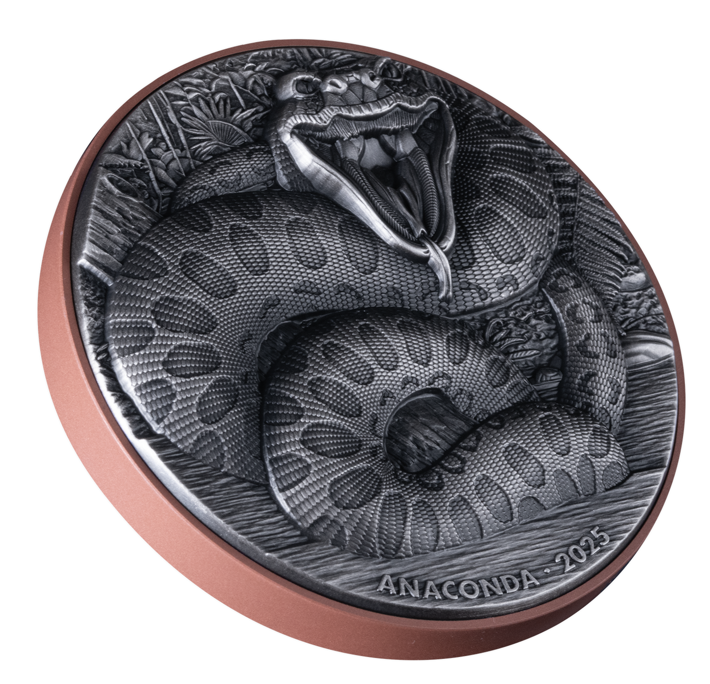 Double Silver Giant - Anaconda - 2025 - 155 Gramm Kupfer/Silbermünze UHR***