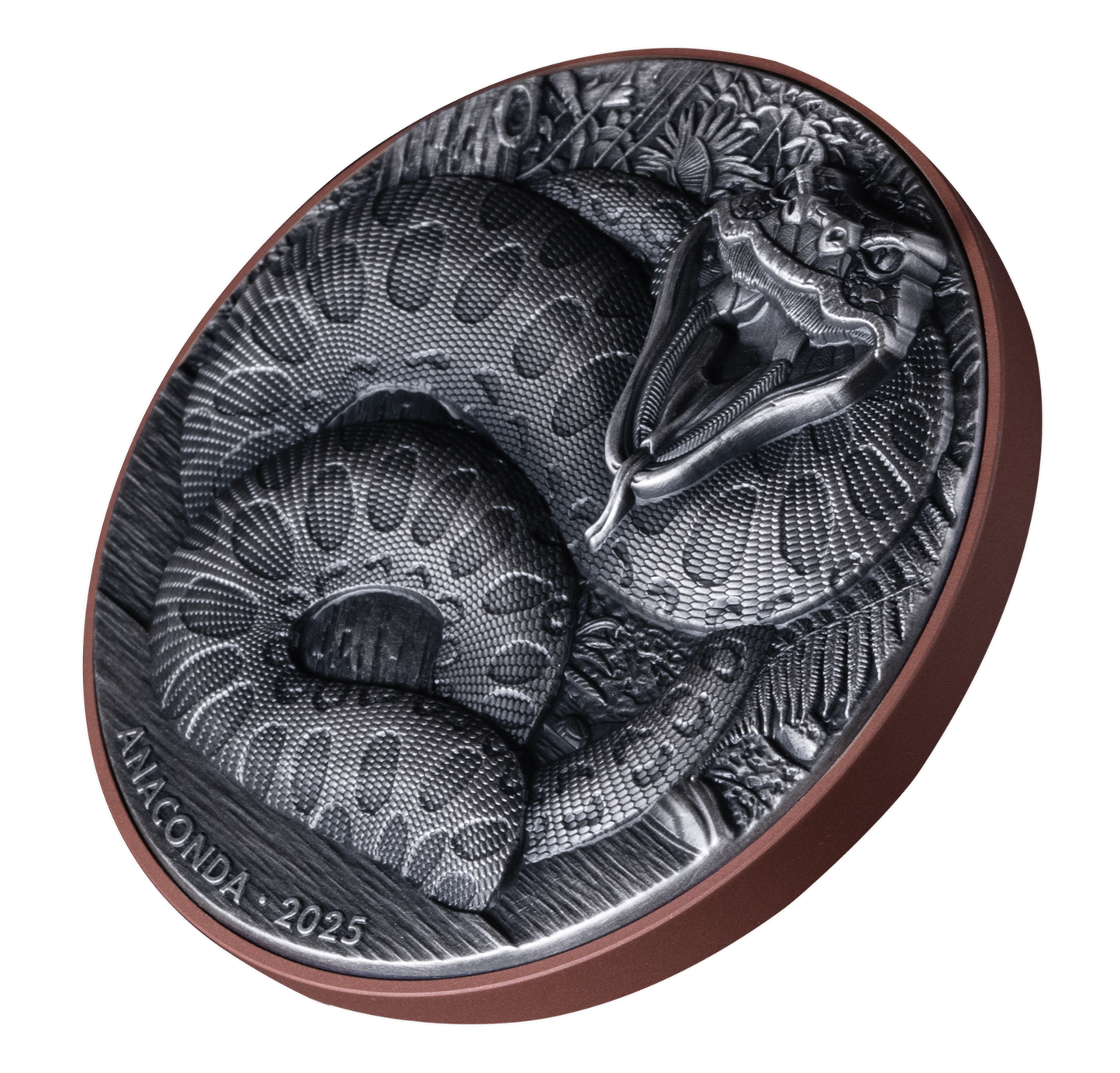 Double Silver Giant - Anaconda - 2025 - 155 Gramm Kupfer/Silbermünze UHR***