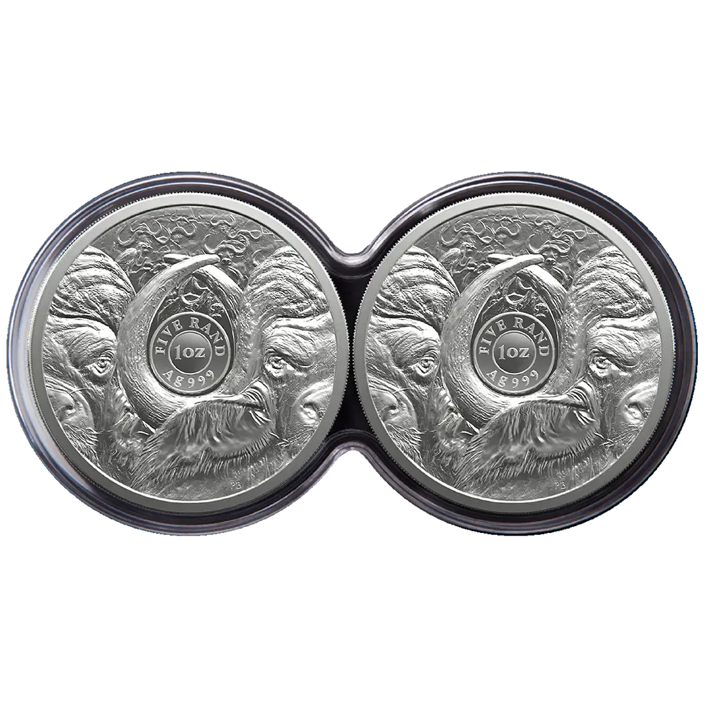 Big Five III (5.) Büffel 2026 Set - 2 x 1 oz Silbermünze in Doppel-Kapsel PP