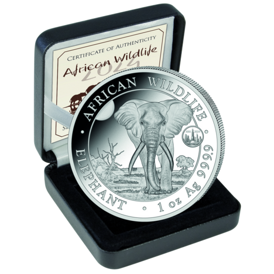 Somalia Elefant, 1 Oz Silbermünze Ana Chicago Privy, 2024