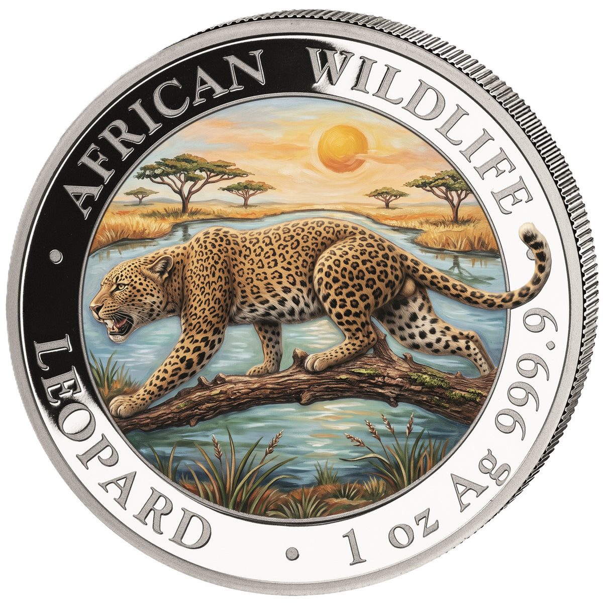 African Wildlife - Somalia Leopard - 2026 - 1 oz Silbermünze Farbe Color