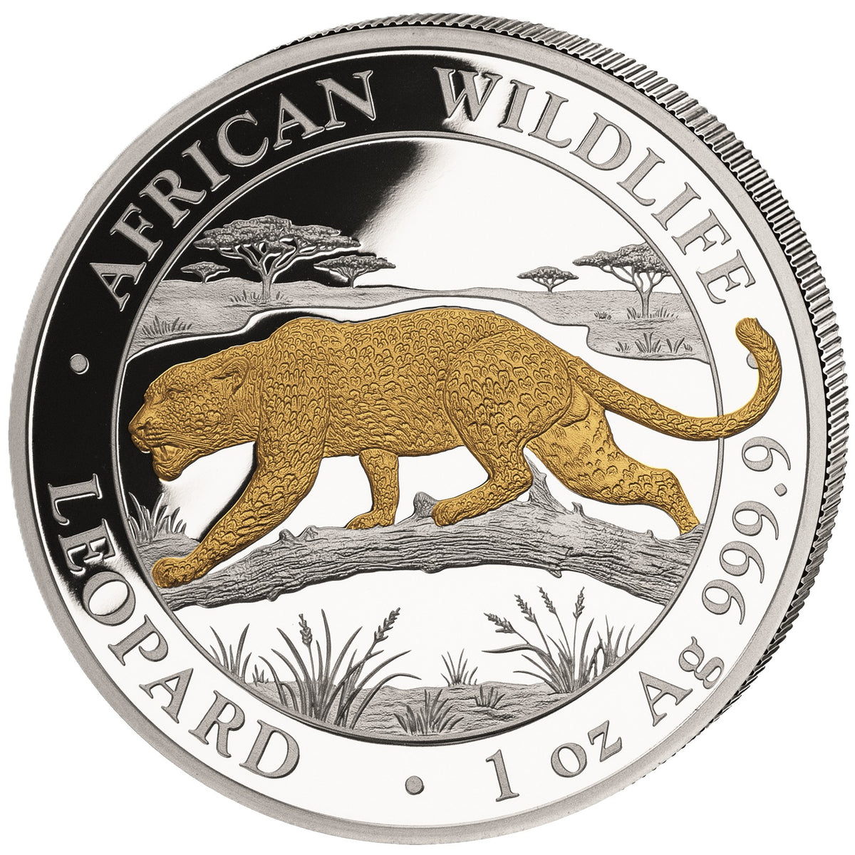 African Wildlife - Somalia Leopard - 2026 - 1 oz Silbermünze vergoldet gilded
