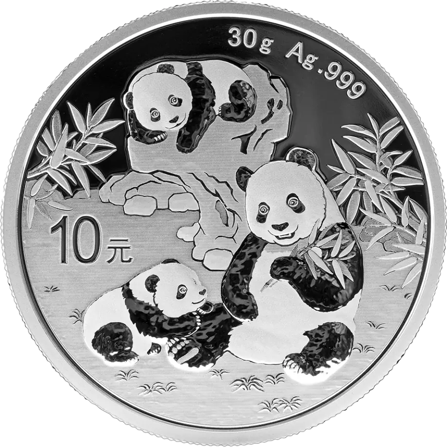 China Panda 2025 - 30 Gramm Silbermünze - 10 Yuan*