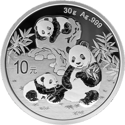 China Panda 2025 - 30 Gramm Silbermünze - 10 Yuan*