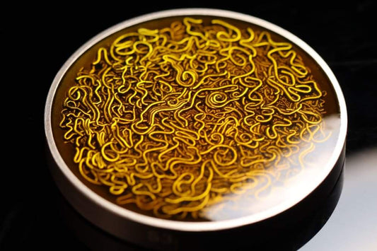 Cameroon Instant Noodle 2025, 2oz Silbermünze* Antik Color, Resinfüllung, Nur 222 Stk.
