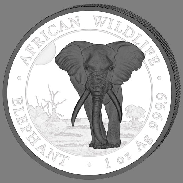 Somalia Elefant 2025 Black & White Set 2 x 1 oz Silbermünze